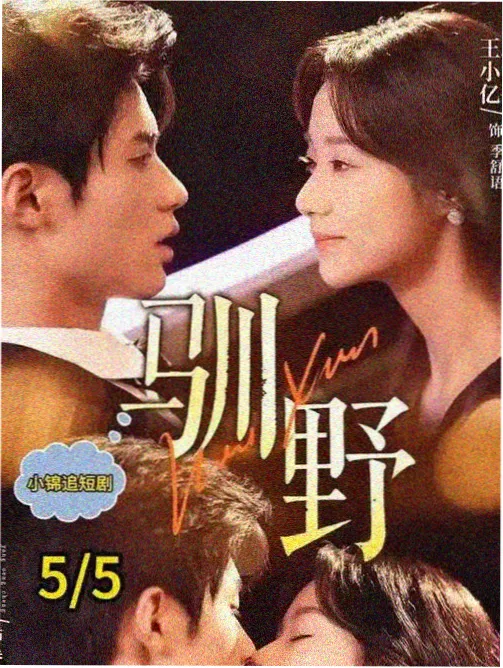 路径类观察素材的流程图编号示意
